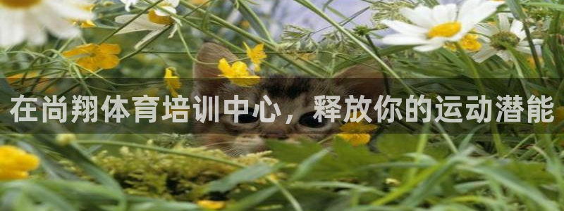 极悦平台下载安装：在尚翔体育培训中心，释放你的运动潜