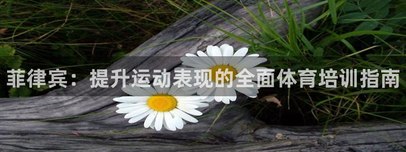 极悦平台官方网站登录：菲律宾：提升运动表现的全面体育