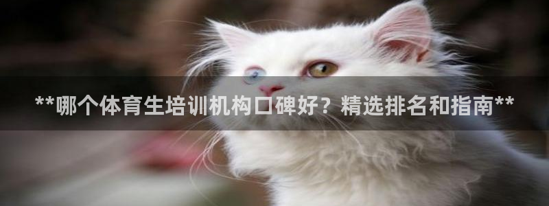 极悦生活家是什么平台：**哪个体育生培训机构口碑好？