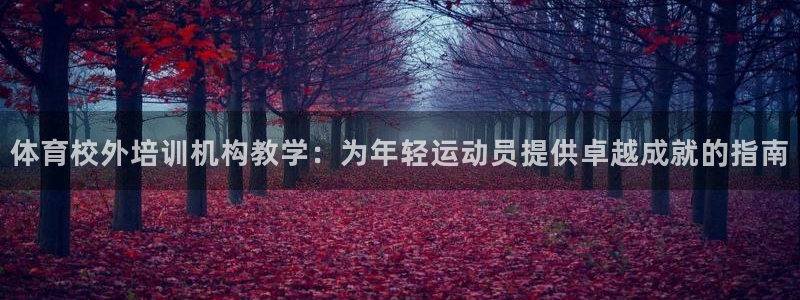 极悦娱乐官网入口下载：体育校外培训机构教学：为年轻运