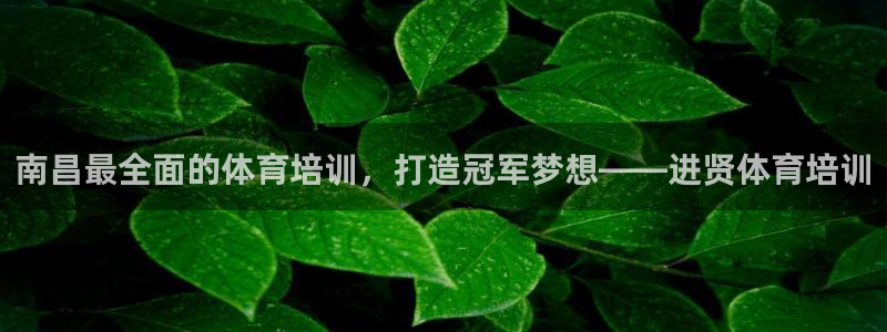 极悦平台注册官网下载：南昌最全面的体育培训，打造冠军