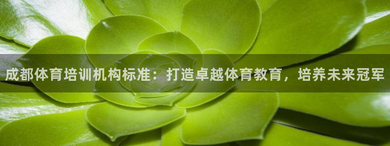 极悦娱乐是资金盘吗：成都体育培训机构标准：打造卓越体