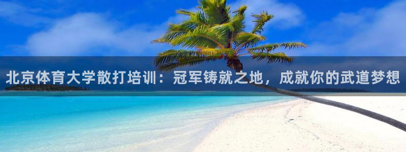 极悦平台家7O777：北京体育大学散打培训：冠军铸就
