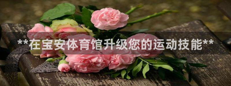 极悦平台注册：**在宝安体育馆升级您的运动技能**