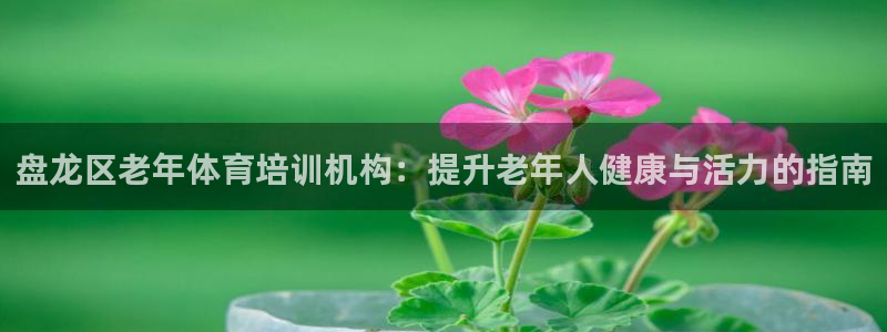 极悦娱乐官网最新版本更新内容是什么：盘龙区老年体育培