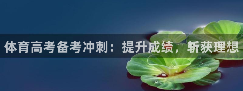 极悦平台注册用户名验证不了：体育高考备考冲刺：提升成