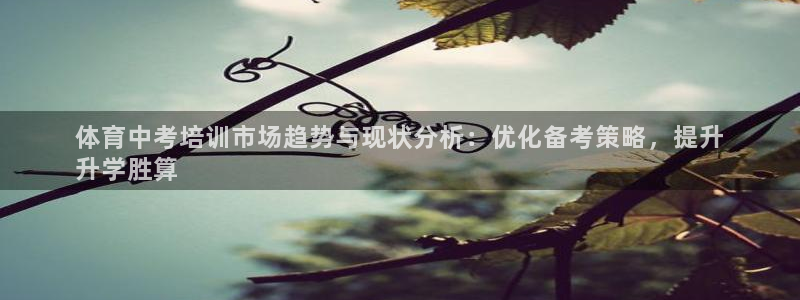 极悦娱乐部7O777：体育中考培训市场趋势与现状分析