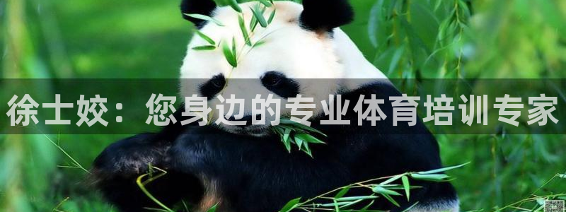 极悦官网首页登录入口：徐士姣：您身边的专业体育培训专
