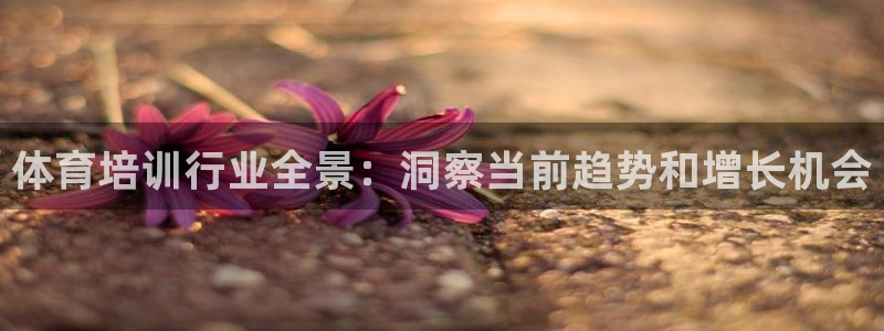 极悦平台app二维码怎么弄的：体育培训行业全景：洞察