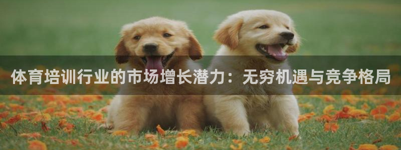 极悦平台使用教程：体育培训行业的市场增长潜力：无穷机