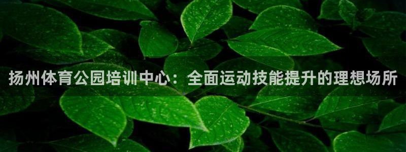 极悦平台很7O777：扬州体育公园培训中心：全面运动