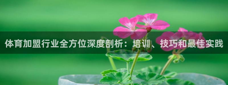 极悦平台登录最新版本更新内容是什么：体育加盟行业全方