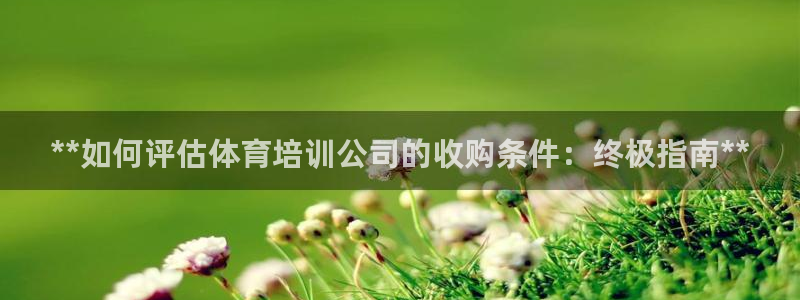 极悦平台app二维码怎么弄到桌面：**如何评估体育培