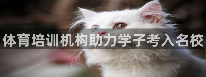 极悦娱乐旗下艺人名单：体育培训机构助力学子考入名校