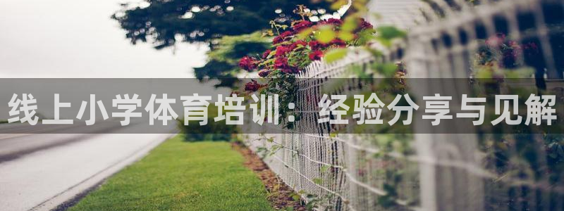 舒客极悦牙膏：线上小学体育培训：经验分享与见解