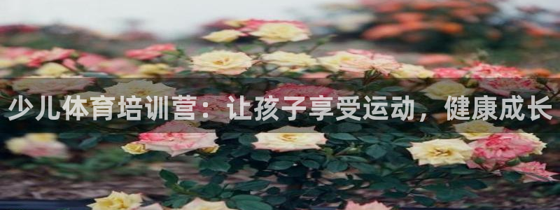 极悦平台官网入口登录：少儿体育培训营：让孩子享受运动