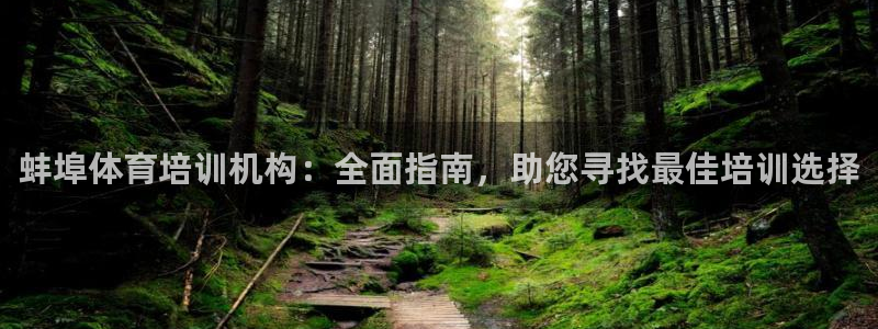 极悦娱乐官网APP下载：蚌埠体育培训机构：全面指南，