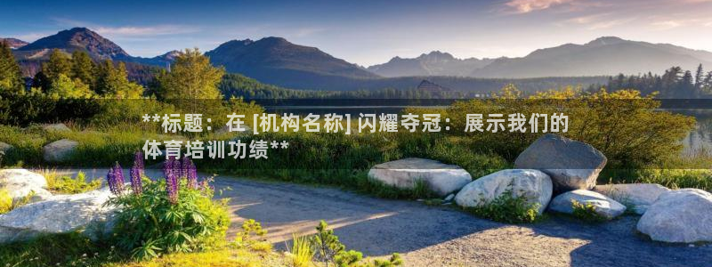 极悦平台使用注意事项有哪些：**标题：在 [机构名称