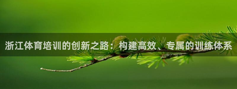 浙江体育培训的创新之路：构建高效、专属的训练体系