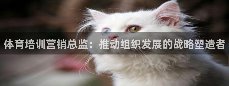 极悦娱乐官网下载app：体育培训营销总监：推动组织发