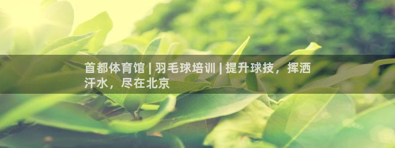 极悦平台官网登录入口网址：首都体育馆 | 羽毛球培训