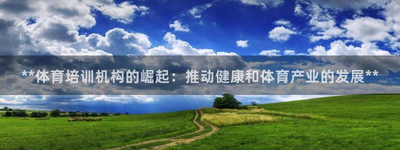 极悦娱乐下载官网：**体育培训机构的崛起：推动健康和