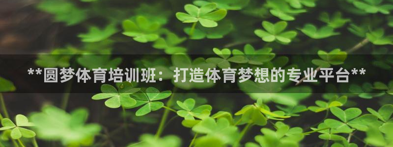 极悦平台注册太7.0.2.4好用吗：**圆梦体育培训