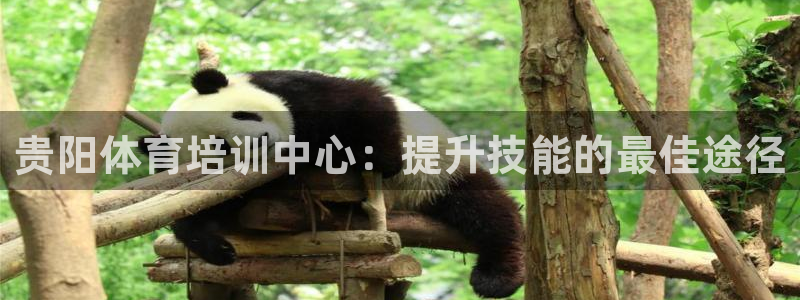 极悦娱乐会被骗吗知乎小说：贵阳体育培训中心：提升技能