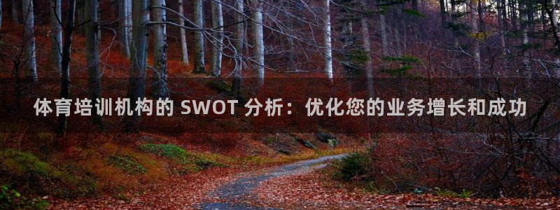 极悦平台官方网站下载：体育培训机构的 SWOT 分析