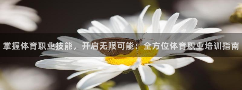 极悦平台注册太7.0.2.4好用吗：掌握体育职业技能
