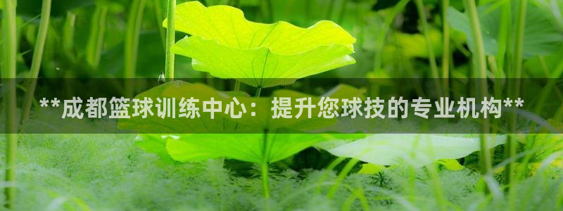 极悦官网旗舰店是正品吗：**成都篮球训练中心：提升您