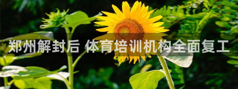极悦平台看7O777：郑州解封后 体育培训机构全面复