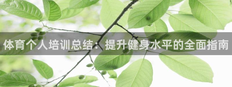 极悦平台代理怎么做：体育个人培训总结：提升健身水平的