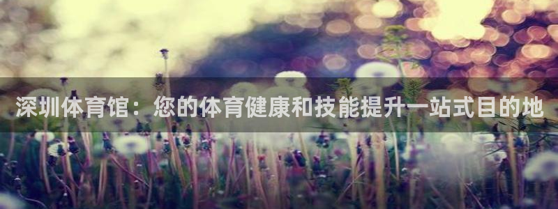 极悦平台城7O777：深圳体育馆：您的体育健康和技能