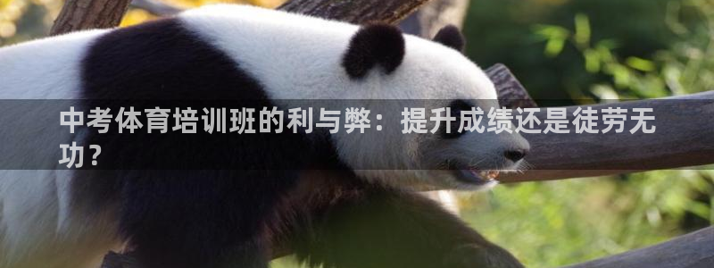 极悦平台注册申请流程详解图片：中考体育培训班的利与弊