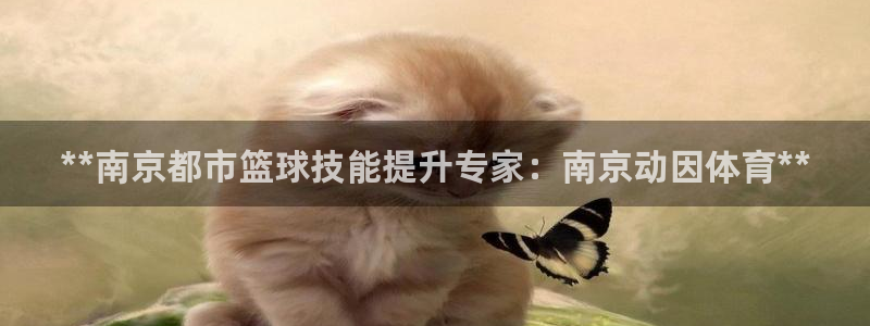 极悦娱乐会被骗吗是真的吗：**南京都市篮球技能提升专