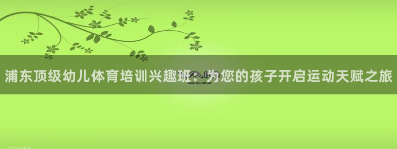 极悦平台平台注册方法与步骤图：浦东顶级幼儿体育培训兴