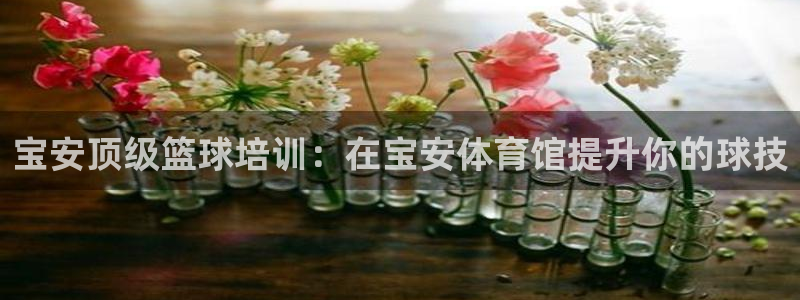 极悦娱乐下载官网：宝安顶级篮球培训：在宝安体育馆提升