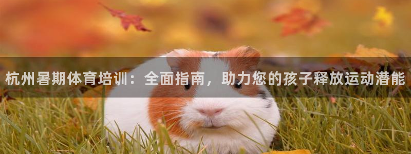 极悦官网旗舰店：杭州暑期体育培训：全面指南，助力您的