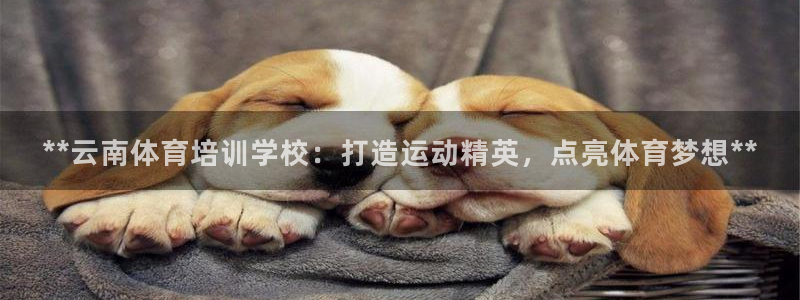 极悦平台是正规平台吗知乎：**云南体育培训学校：打造