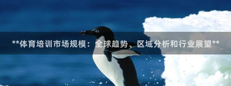 极悦娱乐股东有哪些：**体育培训市场规模：全球趋势、