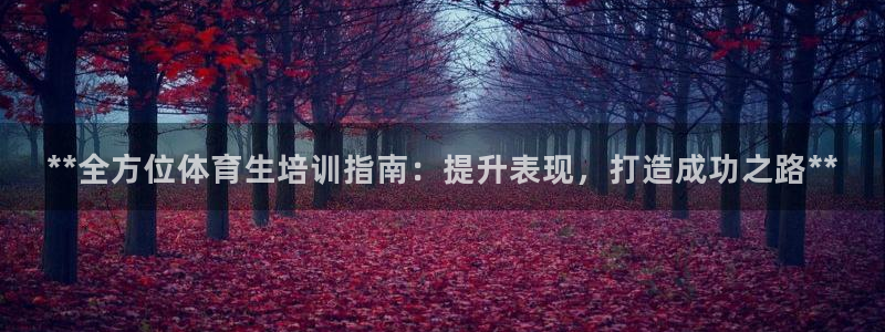 极悦平台注册登录不了：**全方位体育生培训指南：提升
