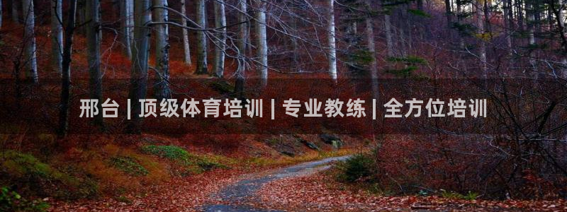 极悦官网注册最新版本更新内容：邢台 | 顶级体育培训
