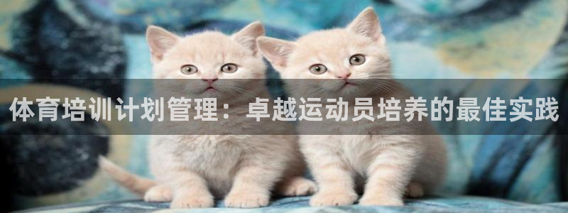 极悦娱乐代理多少钱一个：体育培训计划管理：卓越运动员