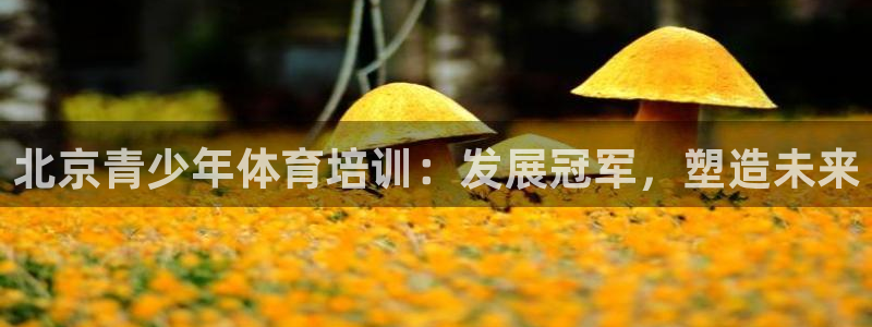 极悦娱乐app官方版本更新内容是什么：北京青少年体育