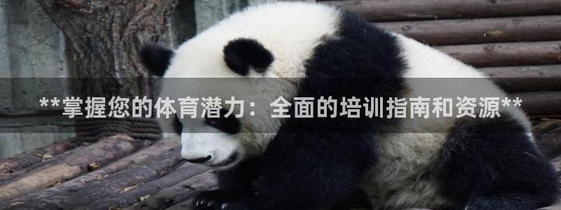 极悦娱乐负责人：**掌握您的体育潜力：全面的培训指南
