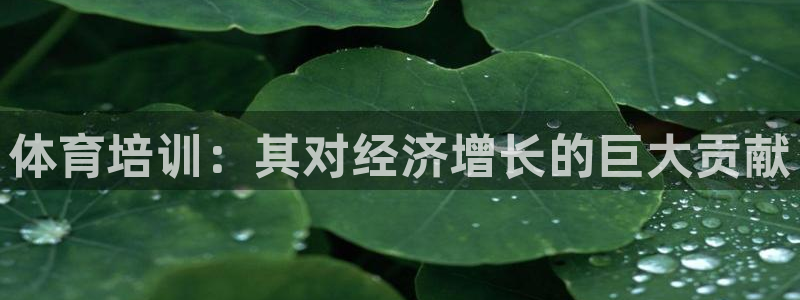 极悦平台网址皮皮虾下载：体育培训：其对经济增长的巨大