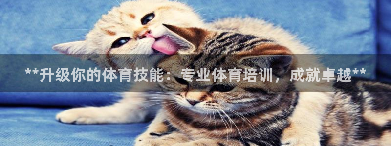 极悦平台注册和登录页面一样吗：**升级你的体育技能：