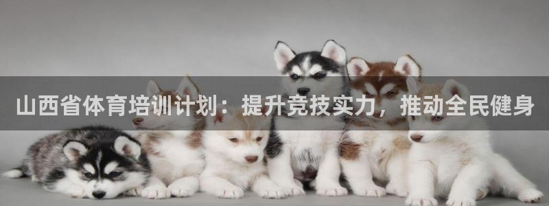 极悦平台创始人背景故事是什么：山西省体育培训计划：提