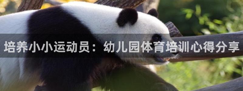 极悦平台是干什么的啊：培养小小运动员：幼儿园体育培训